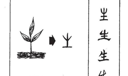 药品维生素E和保健品维生素E有啥区别-药用跟保健品维e的区别网 - 药用维e和保健品维e区别,药品维生素E和保健品维生素E有啥区别